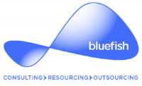 Bluefish Communications