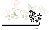 Sam Creative